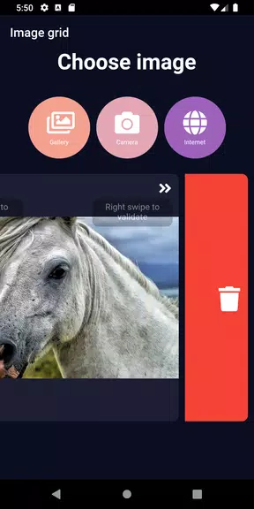 ImageGrid应用截图第3张
