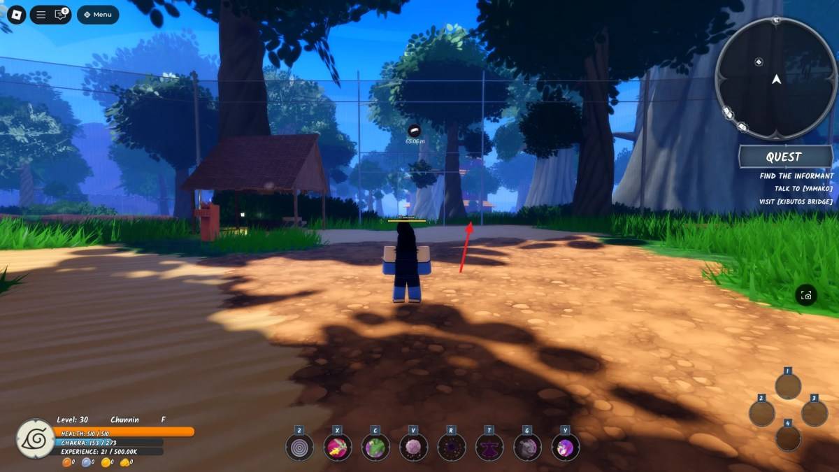 Entrance to Dead Forest