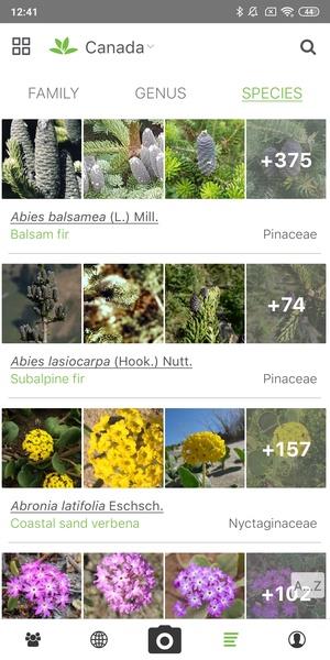 PlantNet Plant Identification Screenshot 4