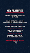 New England Patriots Screenshot 2