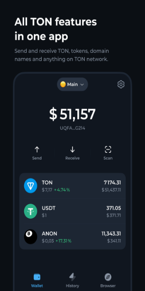 Tonkeeper-TON Wallet Screenshot 2