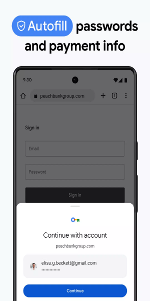Google Chrome 浏览器应用截图第3张