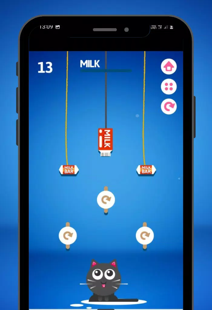 Feed the Kitty Cat Game Screenshot 3