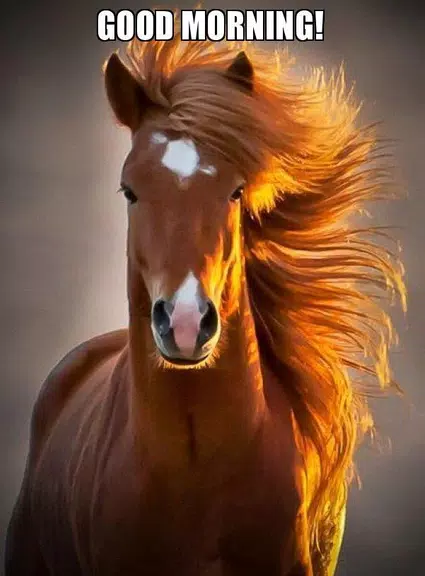Good Morning Images GIFs, Good Morning wishes Скриншот 4