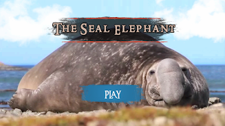 The Seal Elephant 스크린샷 2