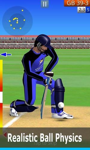 Smashing Cricket Screenshot 3