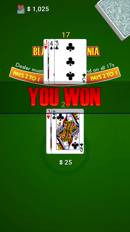 BlackJack Mania Captura de tela 3