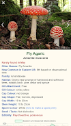 Shroomify - USA Mushroom ID Screenshot 1