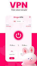 Bingo Vpn - Faster & Stronger スクリーンショット 2