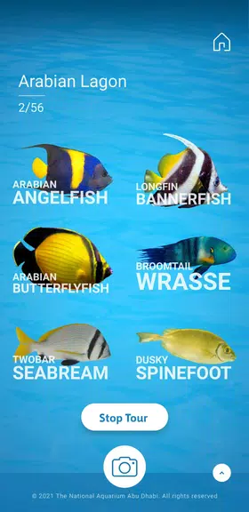 The National Aquarium应用截图第2张