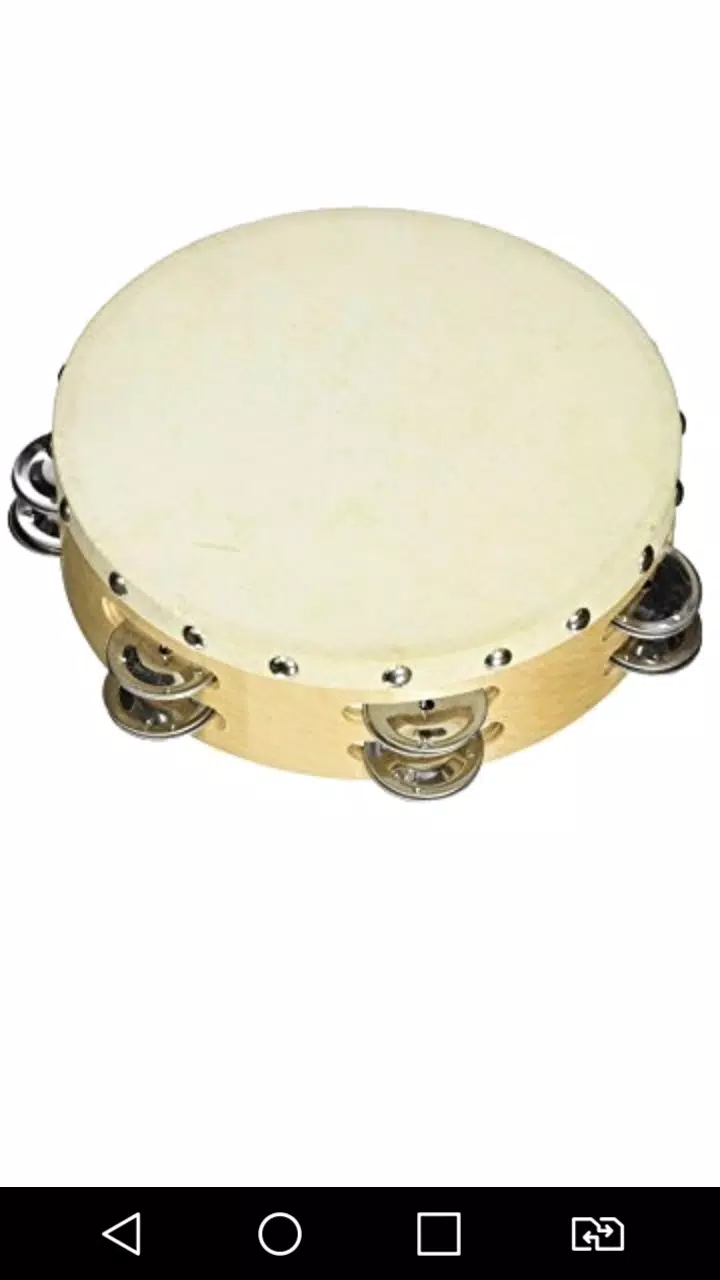 Virtual Tambourine Offline Screenshot 1