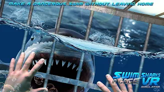 Swim Sharks Cage VR Simulator Captura de tela 2