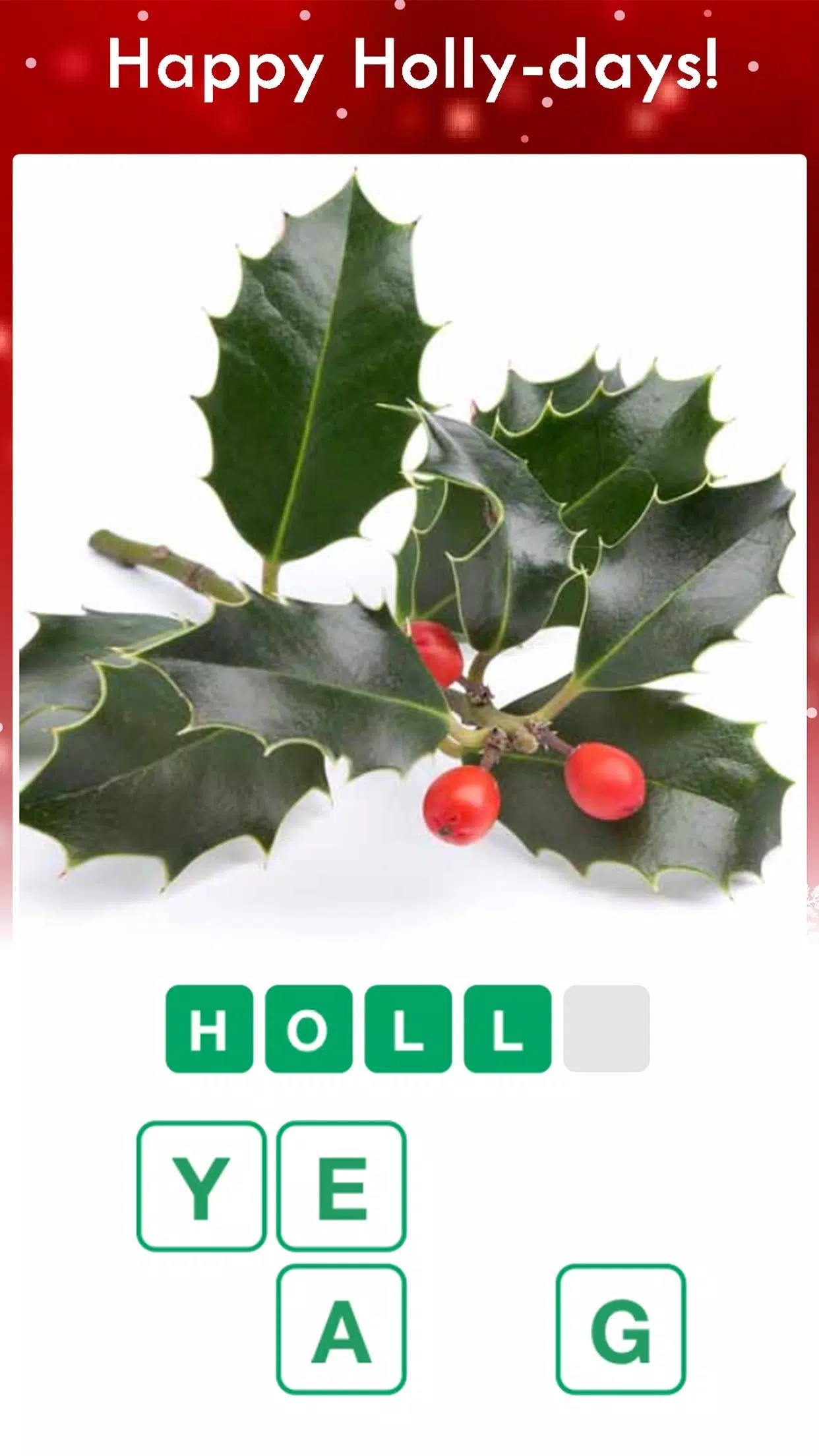 Christmas Pics Quiz Game应用截图第3张