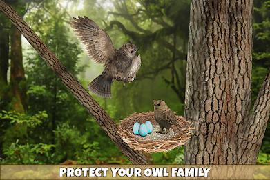 Owl Bird Simulator Birds Game 스크린샷 4