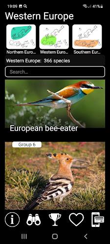 European Birds Songs & Calls Capture d'écran 2