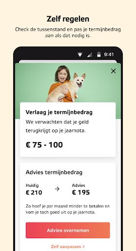 Eneco Capture d’écran 4