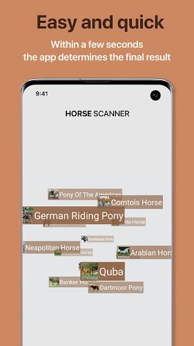 Horse Scanner スクリーンショット 2