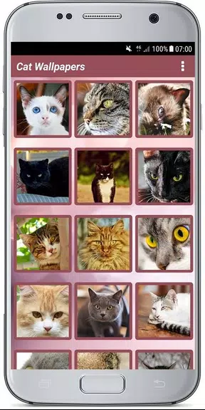 CUTE CAT WALLPAPERS Captura de tela 2