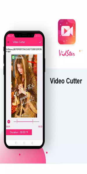 VidSter - Video & Audio Editor Screenshot 3