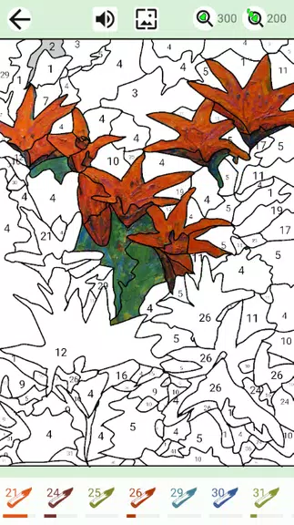 Painting by numbers and puzzle应用截图第3张