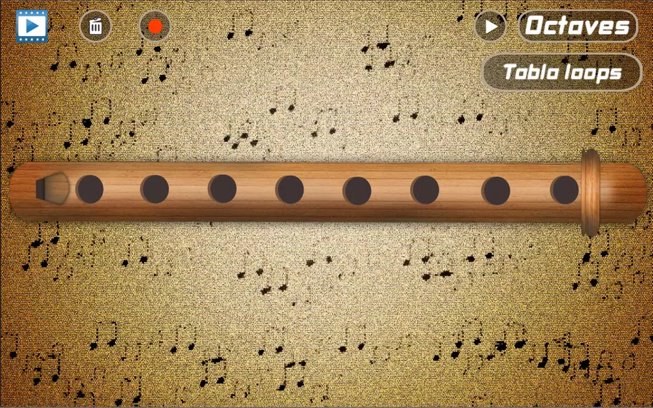 Flute Pro Captura de pantalla 2