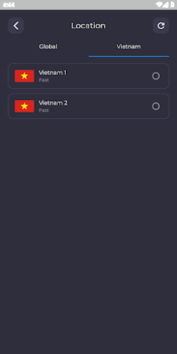 Vietnam VPN: Get Vietnamese IP Capture d'écran 2