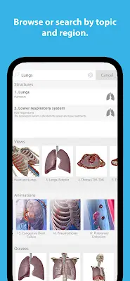 Human Anatomy Atlas 2024 Screenshot 4