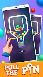 Pull Pin Puzzle Game Скриншот 2