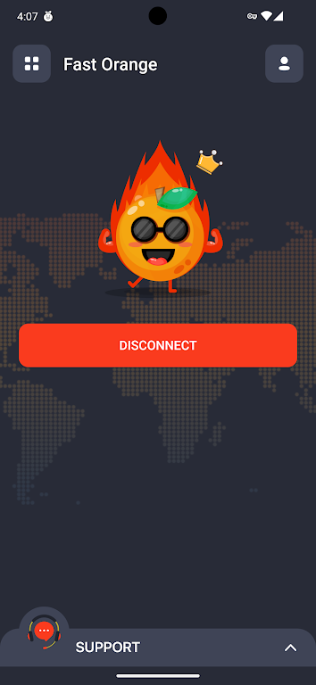 FastOrange VPN Captura de tela 3