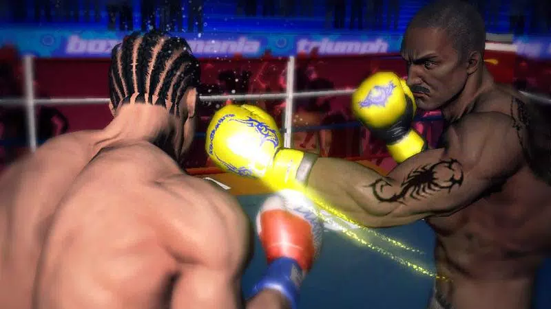 Punch Boxing 3D Screenshot 2