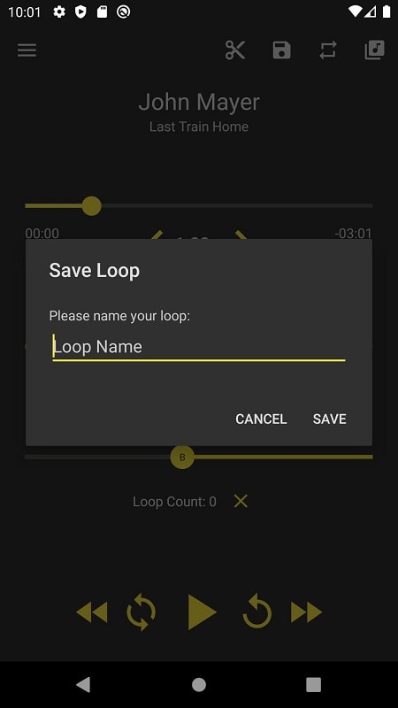 Loop Player 스크린샷 3