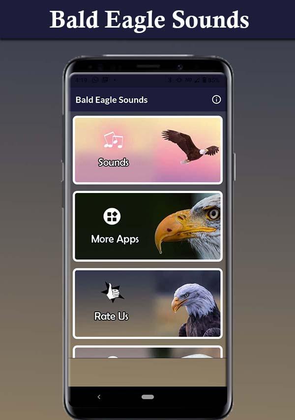 Bald Eagle Sounds Capture d’écran 3