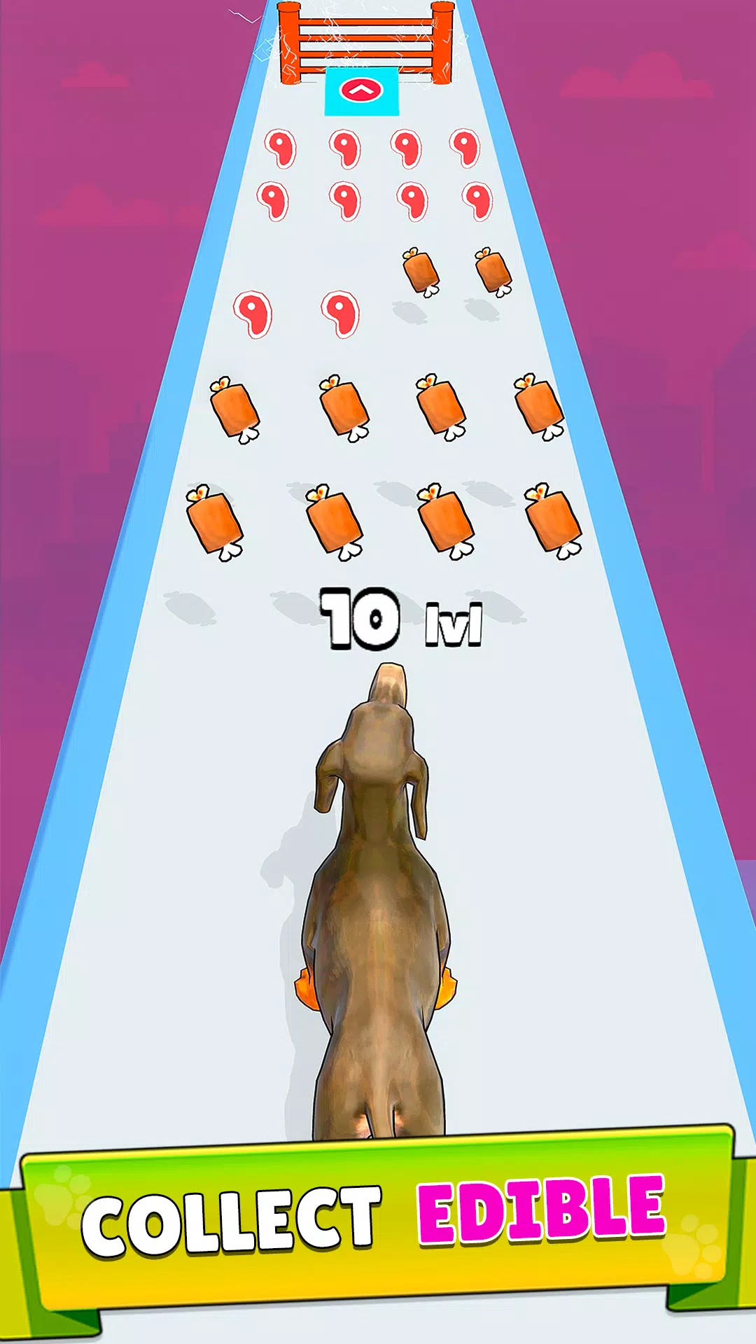 Dog Evolution Run應用截圖第3張