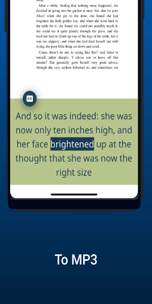 Natural Reader Screenshot 3