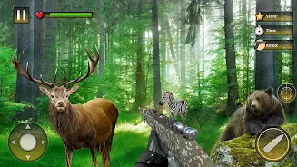 Wild Animal Hunting Games应用截图第1张