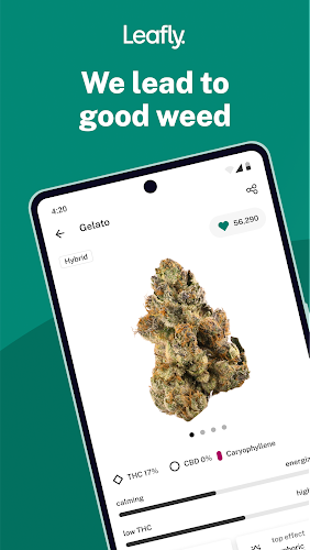 Leafly: Find Cannabis and CBD Скриншот 1