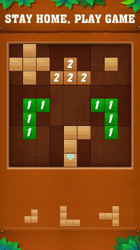Tetrudoku: Block Puzzle Screenshot 1