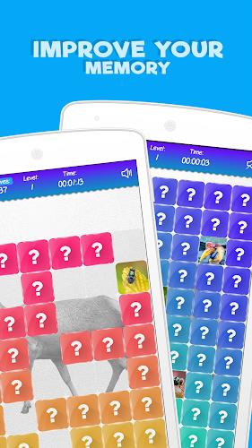 Match Game: Animals應用截圖第1張