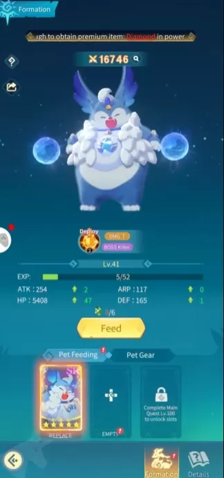 Windrider Origins Pet Guide