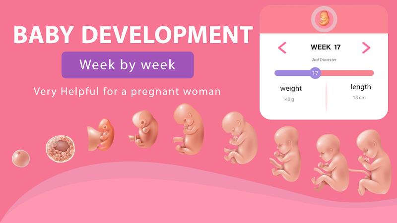 Pregnancy Weeks Tracker Скриншот 2