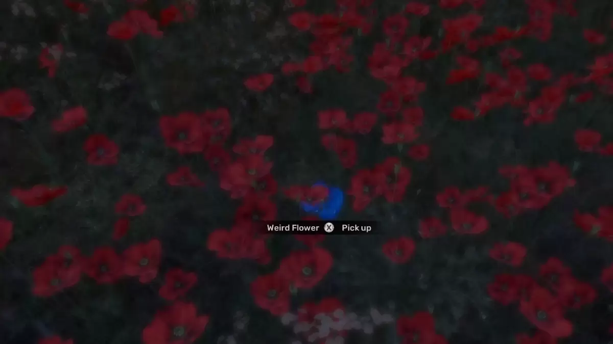 El secreto de las extrañas flores en 