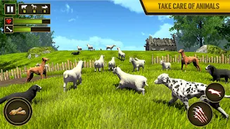 Wild Dog Pet Simulator Games Screenshot 3