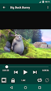 Simple Video Player Captura de tela 2