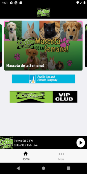 Exitos 98.7 Captura de pantalla 2