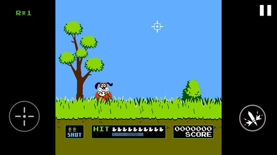 Duck Hunt スクリーンショット 1