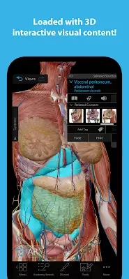 Human Anatomy Atlas 2024 Capture d'écran 1