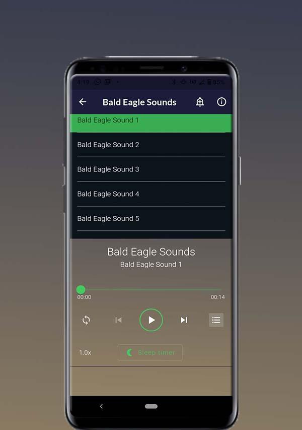 Bald Eagle Sounds Capture d’écran 1