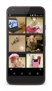 MediaGrub - Insta, Twit, Flick, Tumb photo saver應用截圖第2張