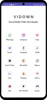 Video downloader - Vidown应用截图第1张