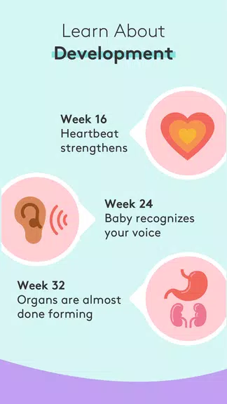 Pregnancy Tracker & Baby App應用截圖第3張